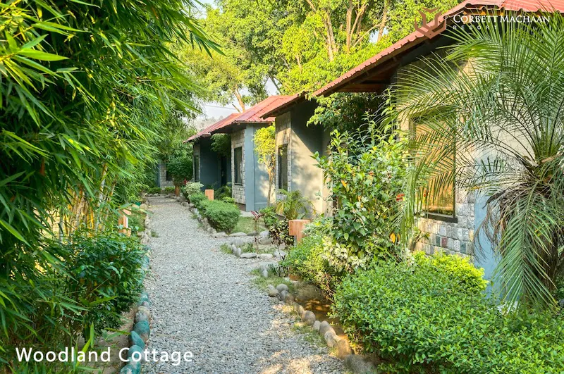 corbett machaan walkway