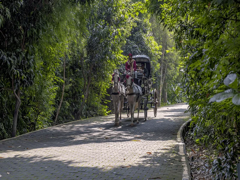 Aahana Resort Corbett20