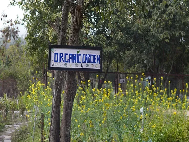 Corbett Saraca Resort10