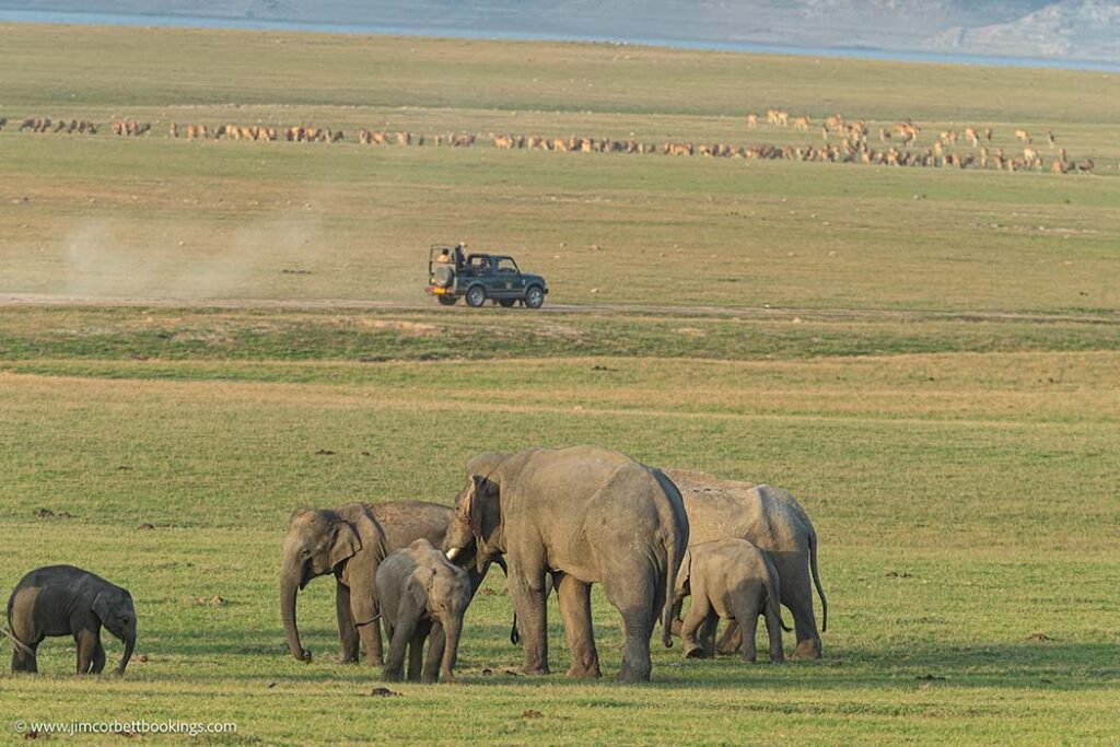 eco tourism safari zones near jim corbett