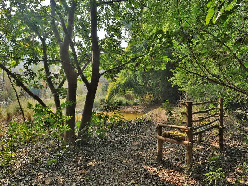 Jims Jungle Retreat11