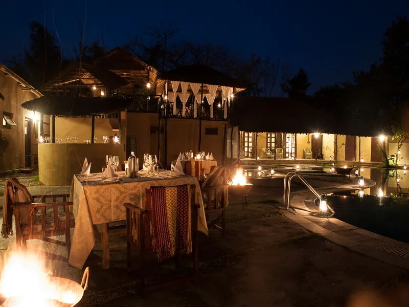 Jims Jungle Retreat13