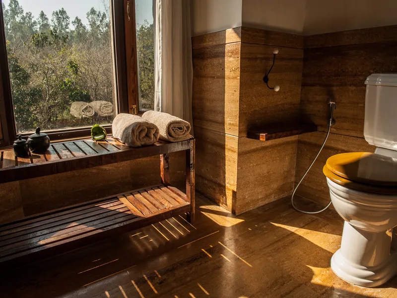 Jims Jungle Retreat17