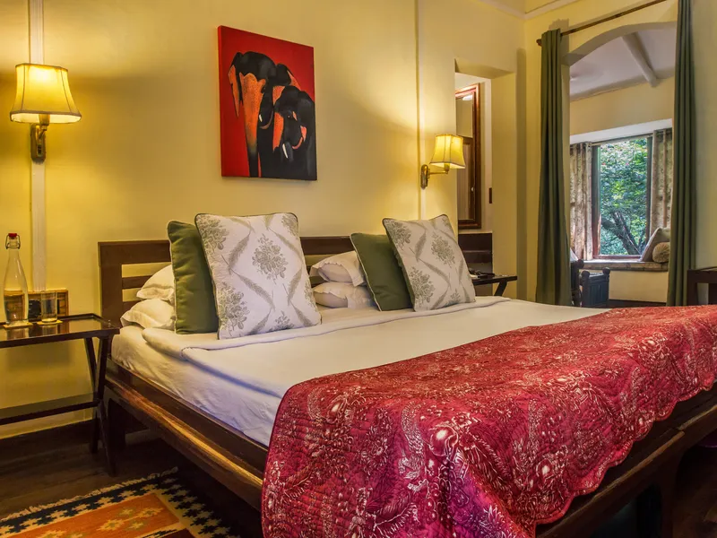 Jims Jungle Retreat31