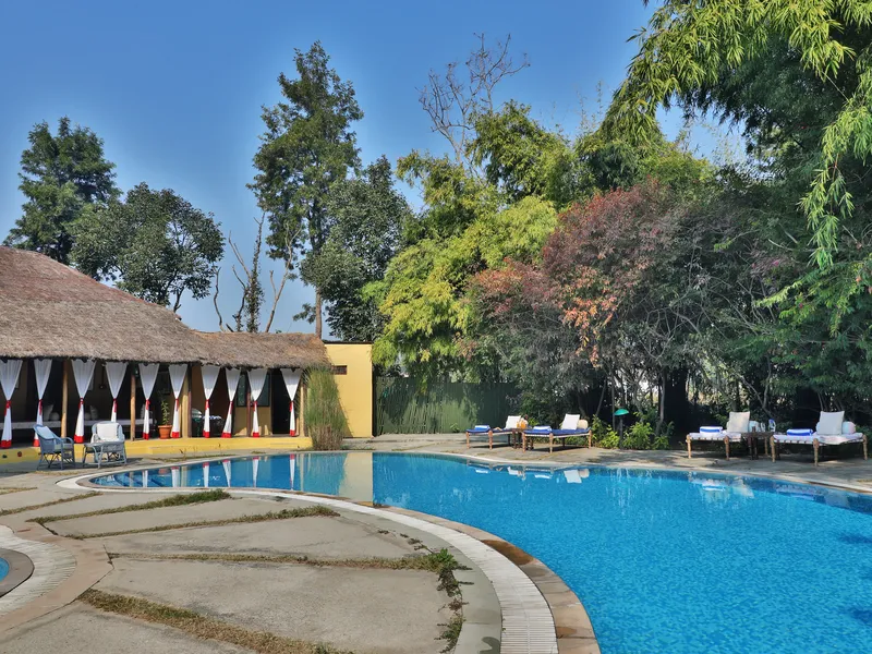 Jims Jungle Retreat7