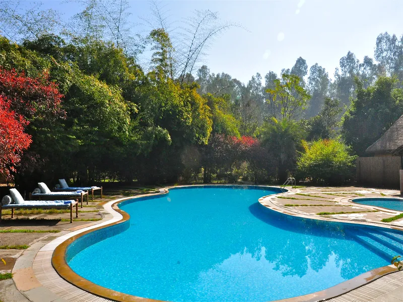 Jims Jungle Retreat8