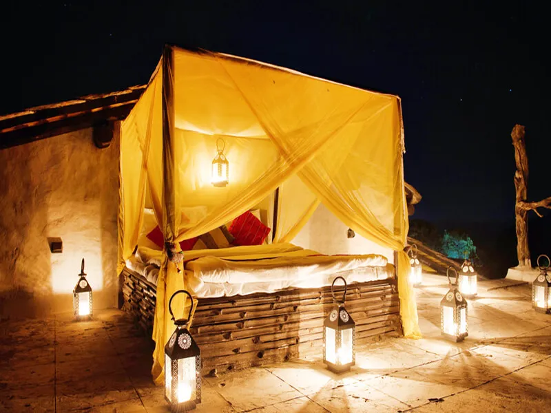 Paatlidun Jungle Lodge