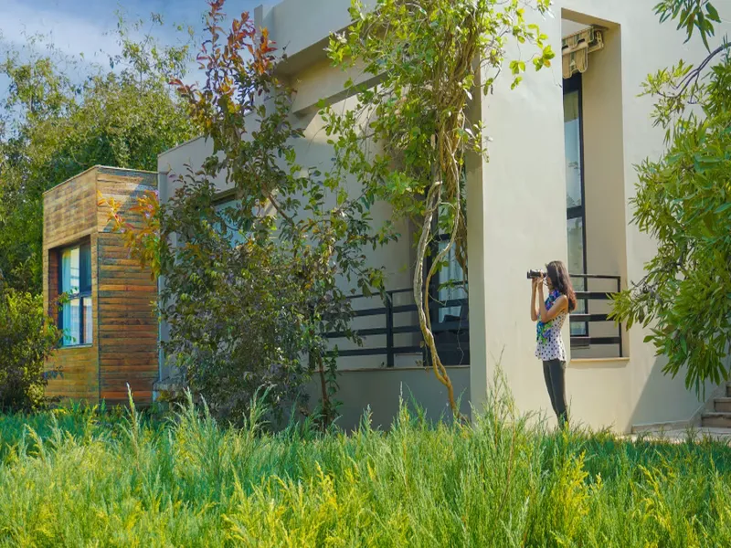 The Golden Tusk Resort18