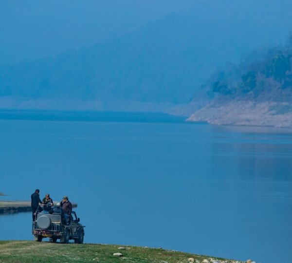 best time to visit Jim Corbett National Park