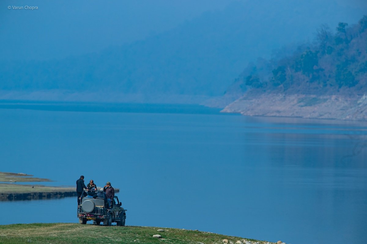 best time to visit Jim Corbett National Park