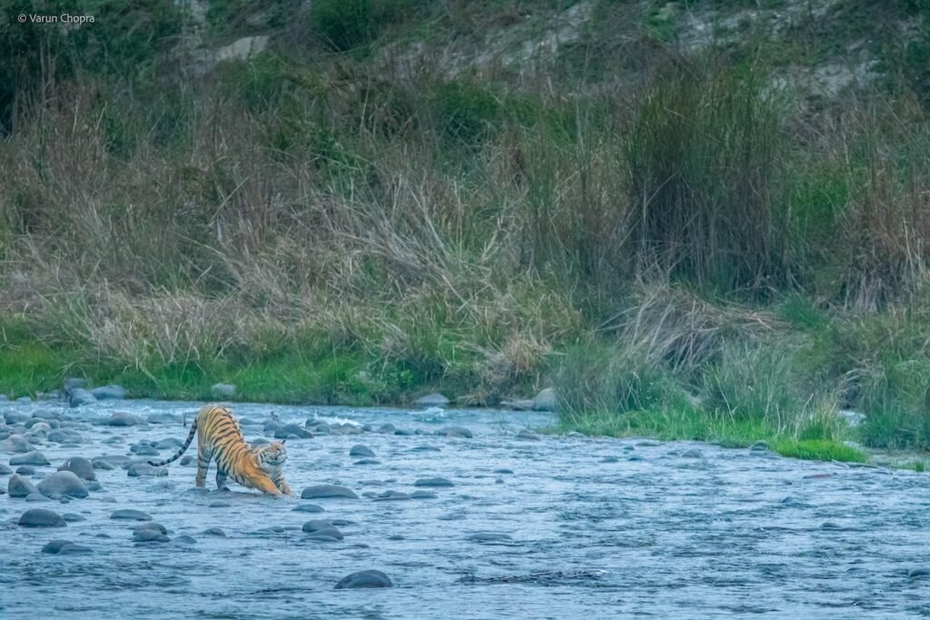 Jim Corbett National Park monsoon season