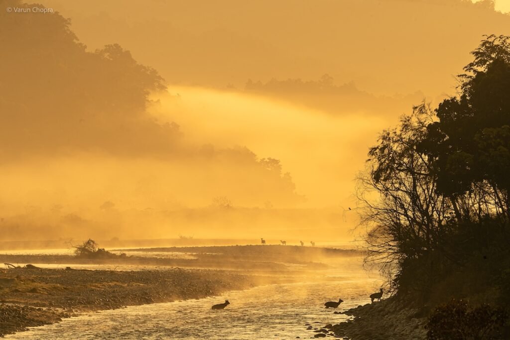Jim Corbett National Park in winter