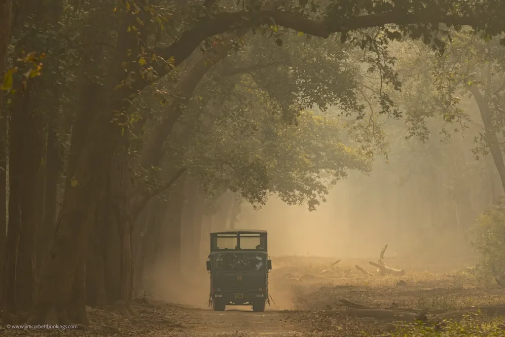 Early morning safari jeep driving through a misty forest road, capturing the peaceful experience included in safari price.
