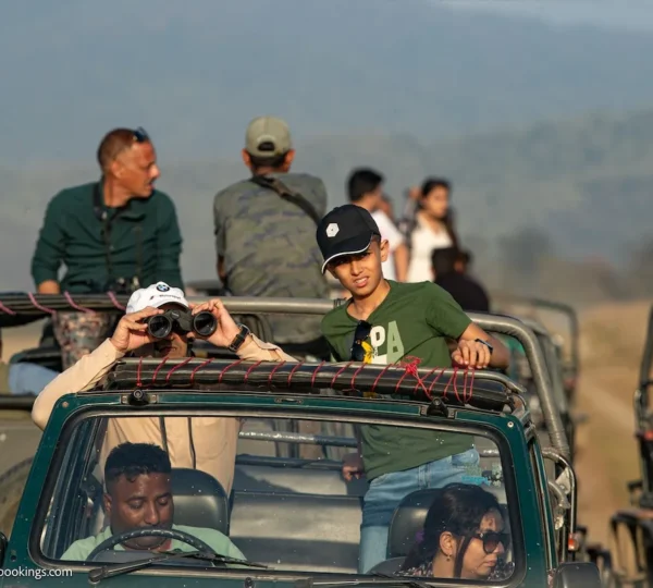 Jim Corbett safari permit required for visitors enjoying a jeep safari inside the national park