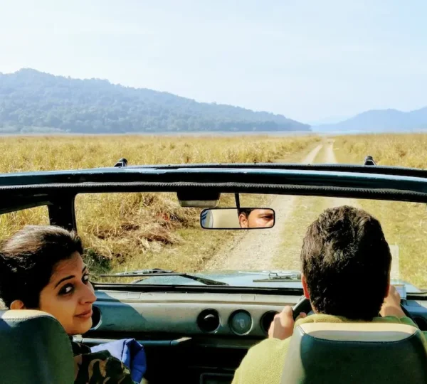 Jim Corbett safari timing during a morning jeep safari in Dhikala grasslands