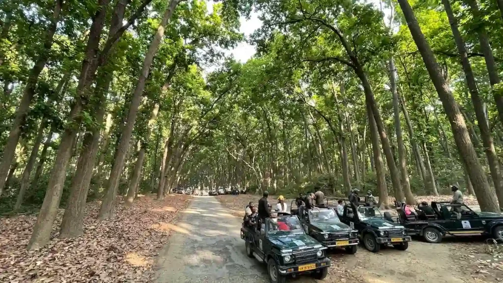 Jim Corbett safari timing with morning jeep safari lineup at the forest entrance