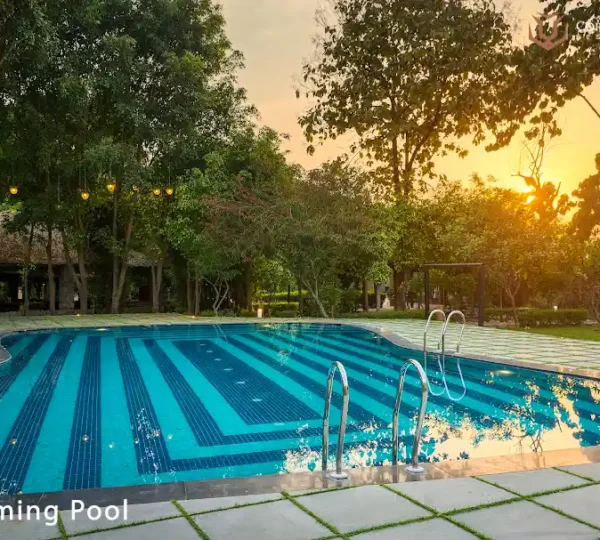 Swimming pool at a budget resort in Jim Corbett surrounded by trees and landscaped grounds