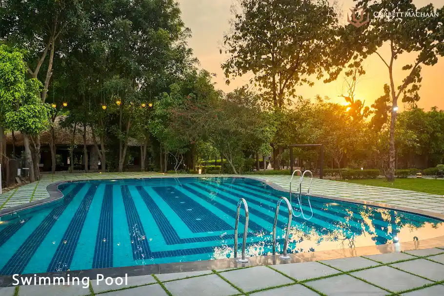 Swimming pool at a budget resort in Jim Corbett surrounded by trees and landscaped grounds