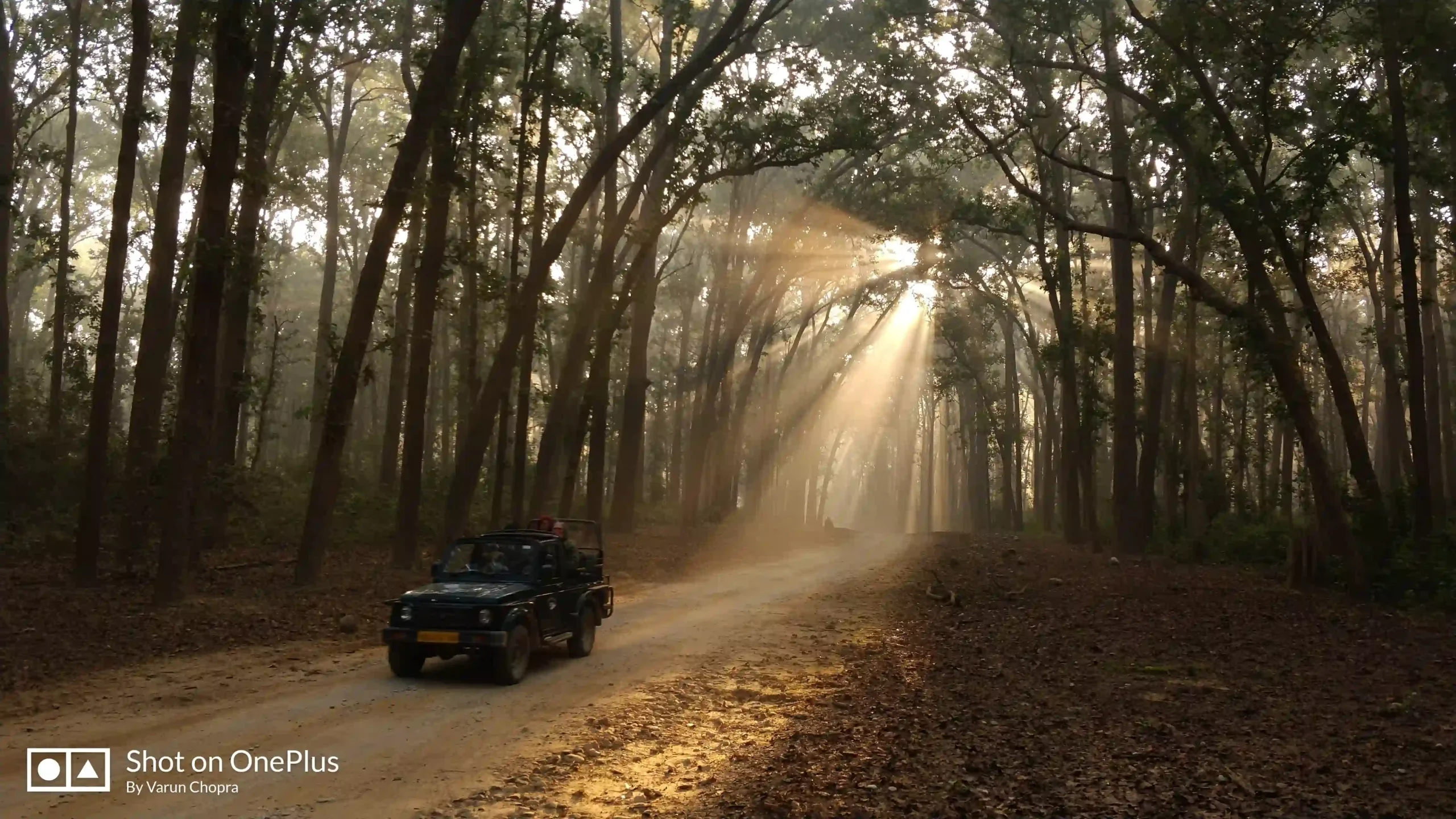 Alt Text: Jeep safari through the forest during a Jim Corbett weekend trip